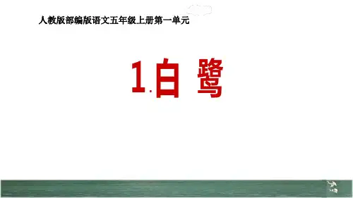 部编版五年级语文上册《白鹭》优质教学课件