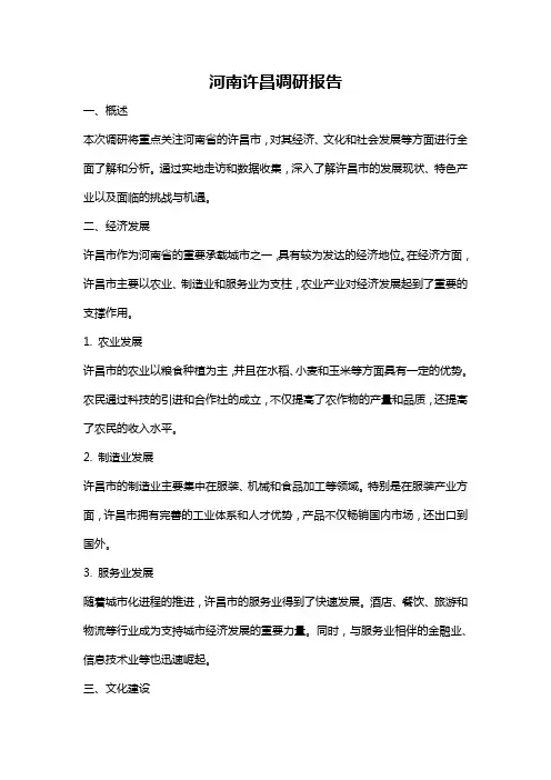 河南许昌调研报告