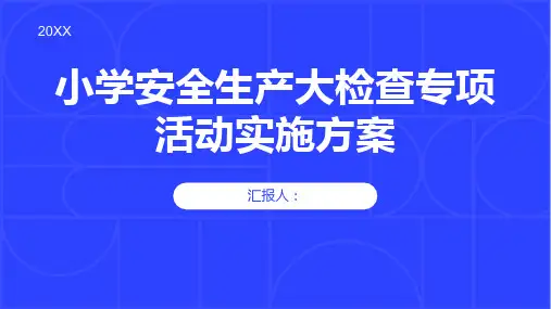 小学安全生产大检查专项活动实施方案