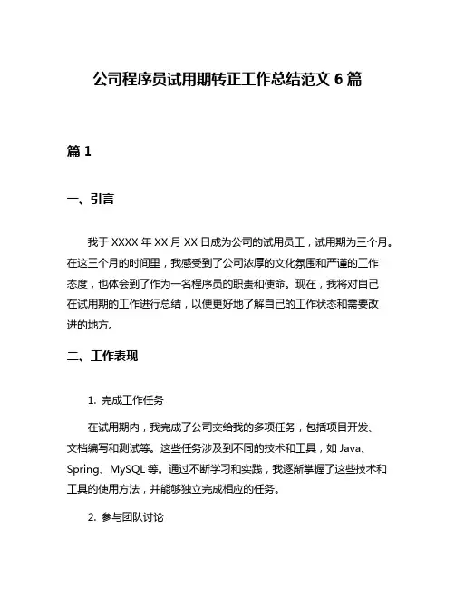 公司程序员试用期转正工作总结范文6篇