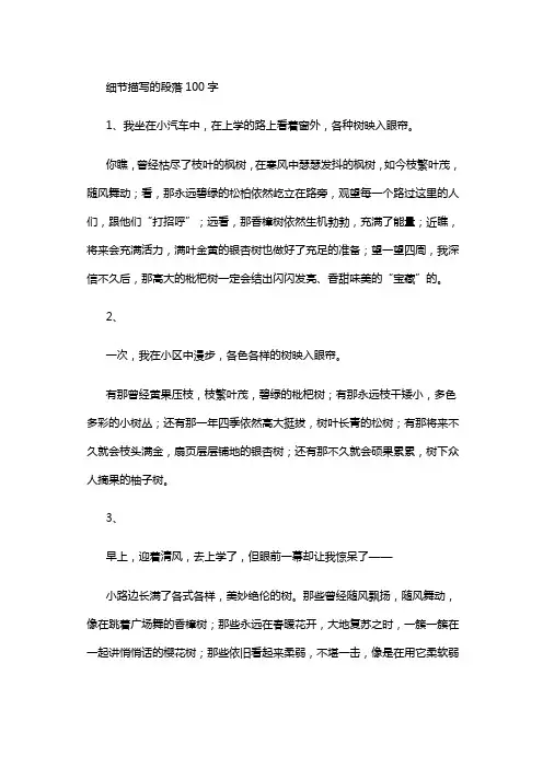 细节描写的段落100字