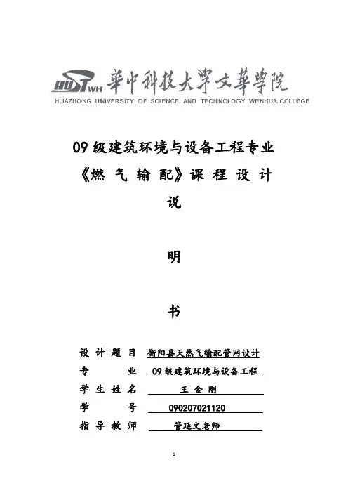 燃气管网设计说明书