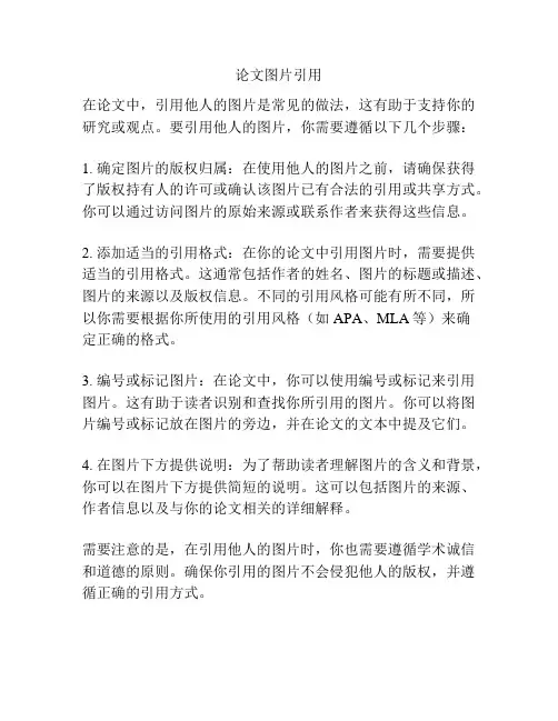 论文图片引用