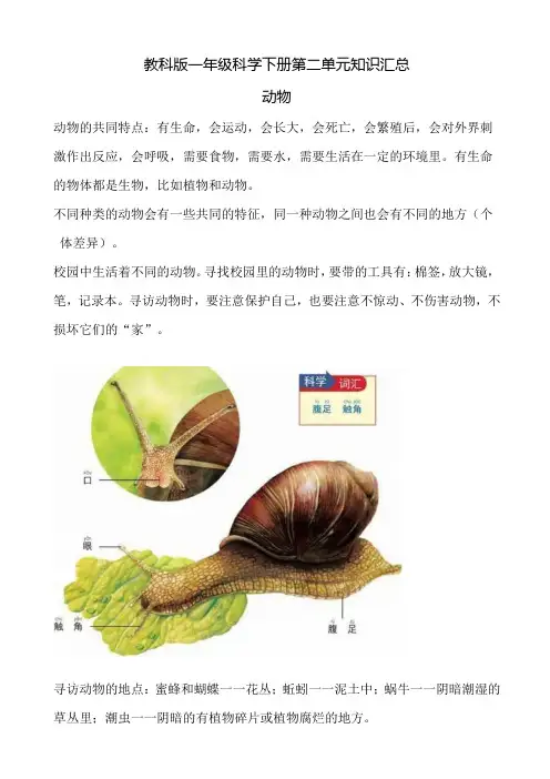 教科版一年级科学下册第二单元知识汇总