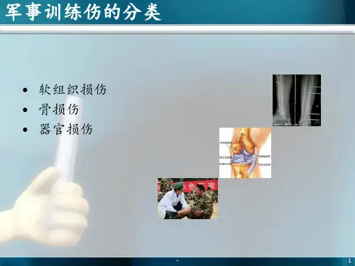 常见军事训练伤的诊断与治疗ppt课件