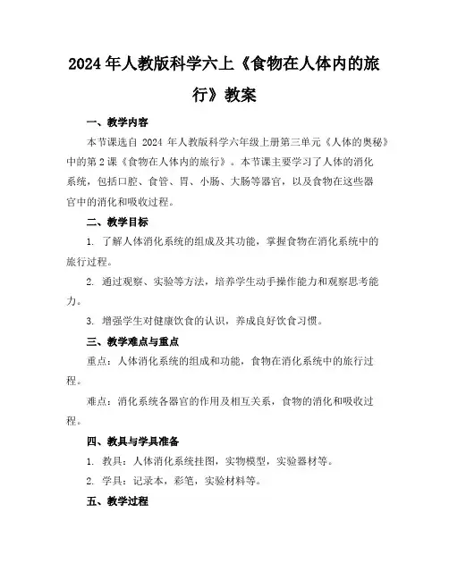 2024年人教版科学六上《食物在人体内的旅行》教案