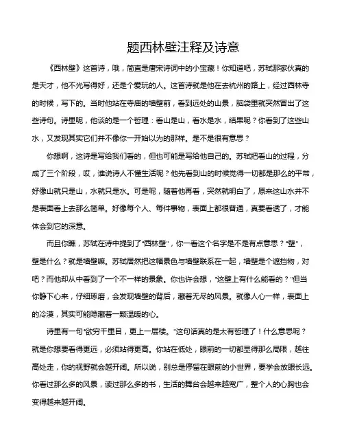 题西林壁注释及诗意