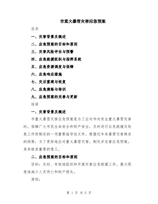 市重大暴雪灾害应急预案
