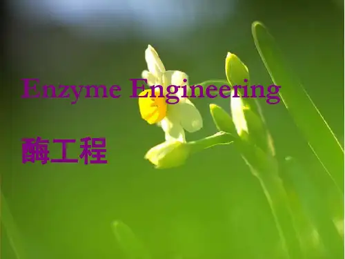 第二章下 酶的抑制动力学