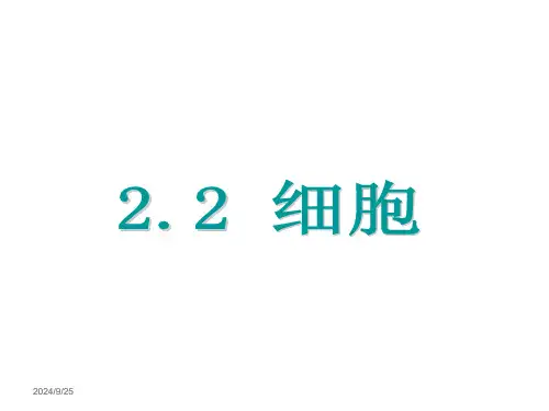 细胞PPT课件(初中科学)