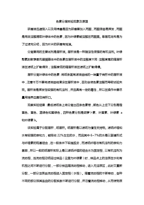 色素分层实验现象及原理