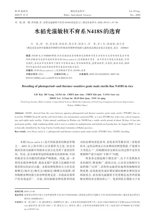 水稻光温敏核不育系N418S的选育