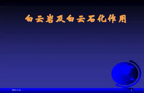 白云岩及白云石化作用
