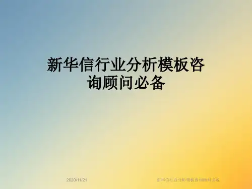 新华信行业分析模板咨询顾问必备