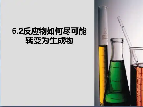 沪科版高中化学高一下册-6.2反应物如何尽可能转变成生成物-化学平衡 课件(共15张PPT)