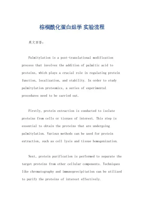 棕榈酰化蛋白组学 实验流程