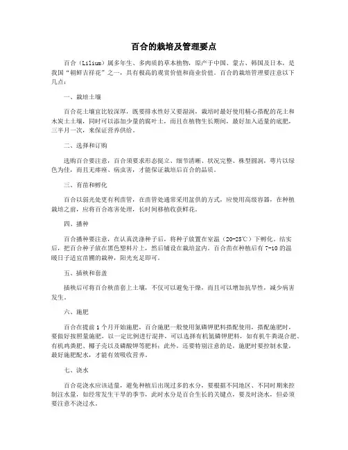 百合的栽培及管理要点