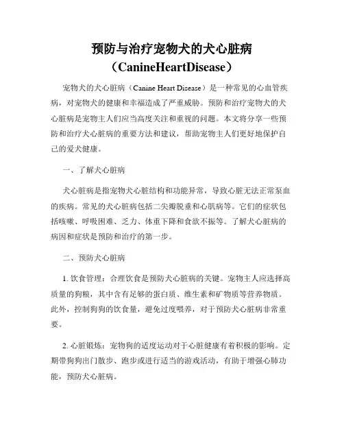 预防与治疗宠物犬的犬心脏病(CanineHeartDisease)