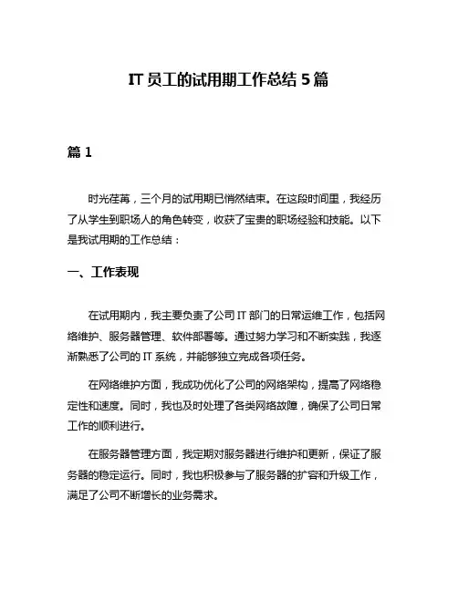 IT员工的试用期工作总结5篇