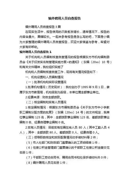 编外聘用人员自查报告