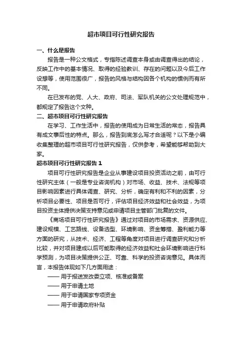 超市项目可行性研究报告