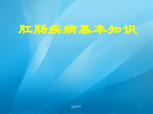 肛肠疾病基本知识  ppt课件