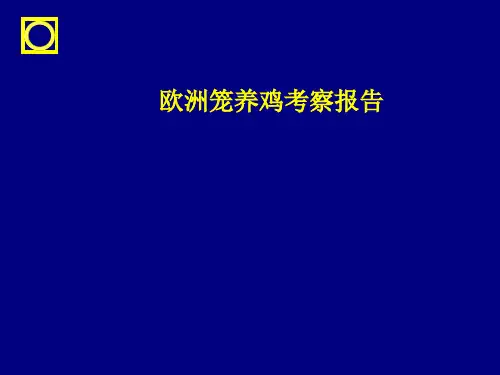 俄罗斯和欧洲笼养鸡考察报告