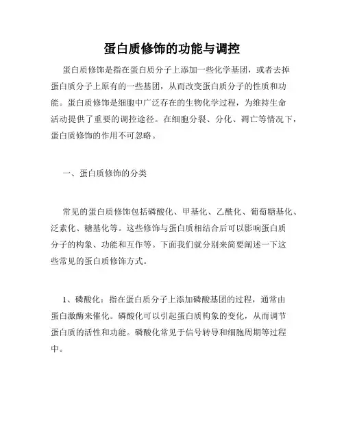 蛋白质修饰的功能与调控