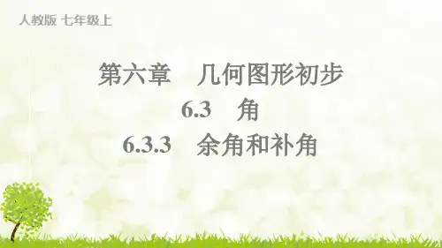人教版2024-2025学年七年级数学上册6.3.3 余角和补角(习题课件)