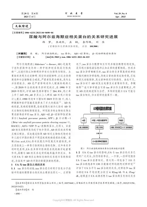 尿酸与阿尔兹海默症相关蛋白的关系研究进展