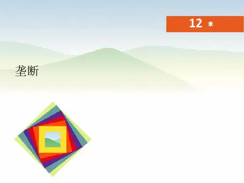 微观经济学--第12章-垄断