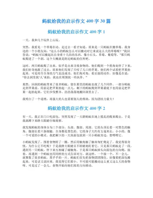 蚂蚁给我的启示作文400字30篇