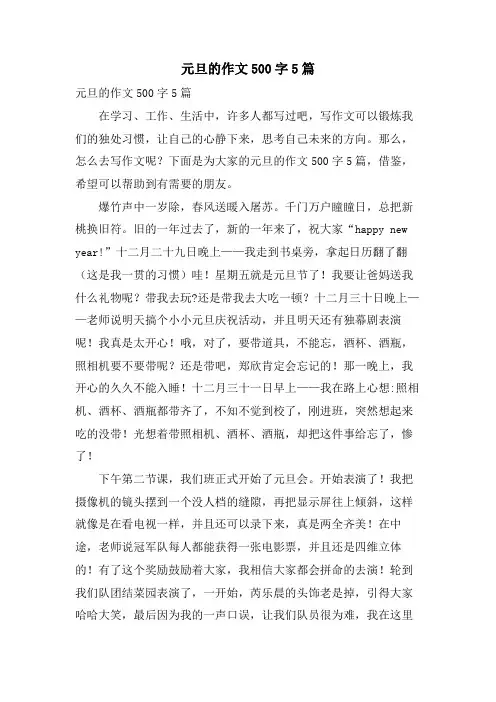 元旦的作文500字5篇