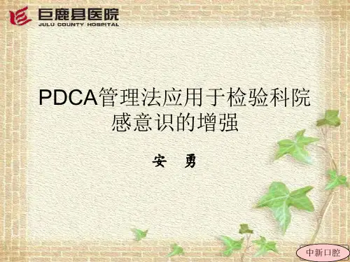 手卫生PDCA