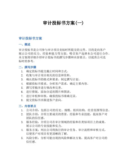 审计投标书方案(一)