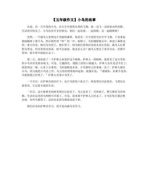 【五年级作文】小鸟的故事