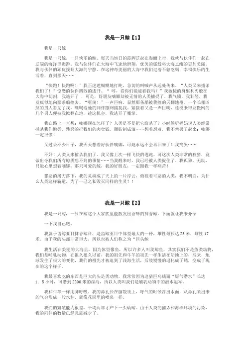 我是一只鲸作文

