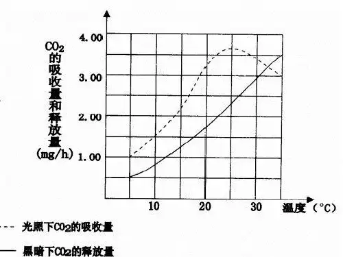 影响光合作用的外界因素