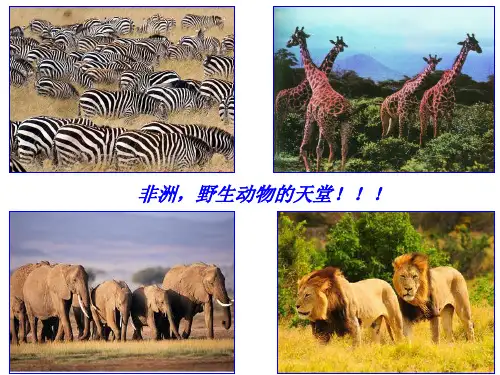 19七年级下粤教版非洲概述PPT课件