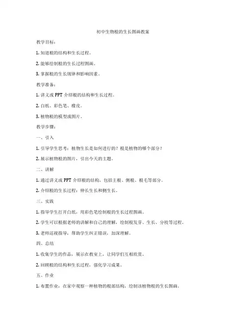初中生物根的生长图画教案