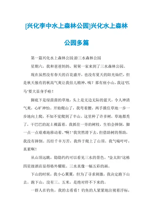 [兴化李中水上森林公园]兴化水上森林公园多篇