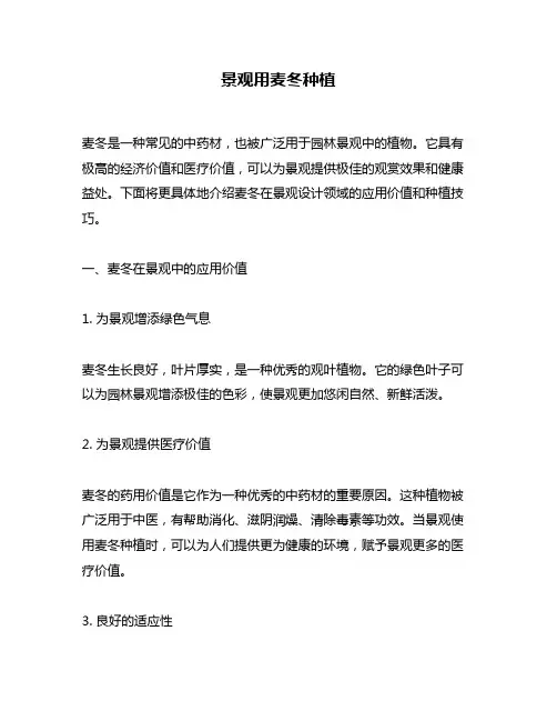 景观用麦冬种植