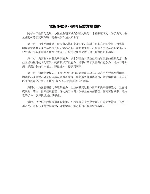 浅析小微企业的可持续发展战略
