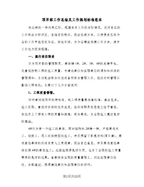 项目部工作总结及工作规划标准范本(3篇)