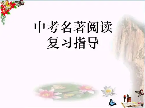 中考名著阅读复习指导ppt