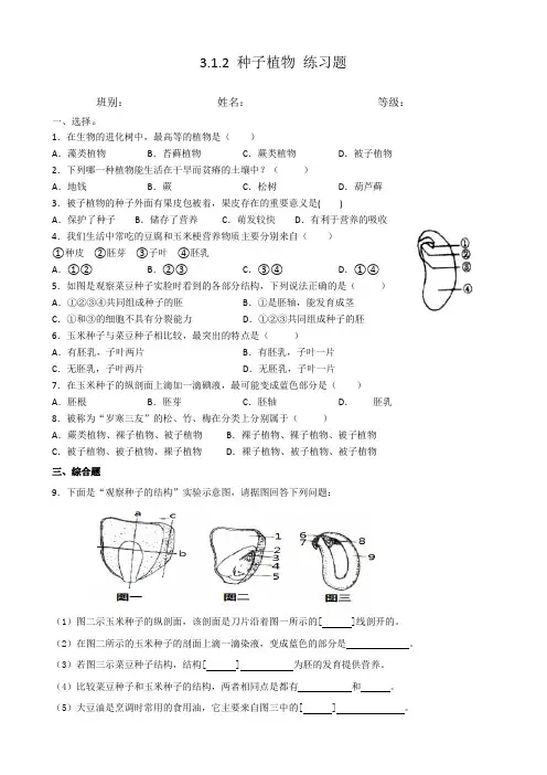2023 种子植物 练习题(有答案)