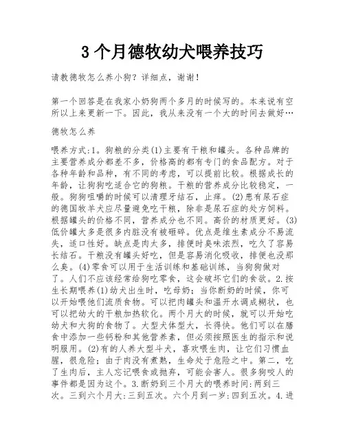 3个月德牧幼犬喂养技巧