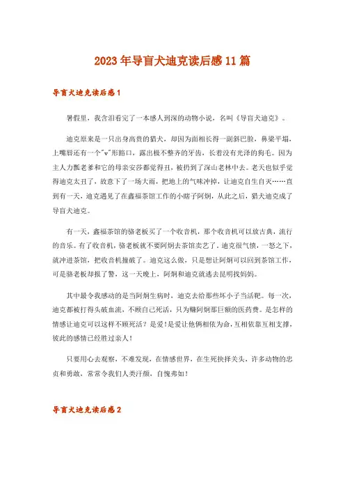 2023年导盲犬迪克读后感11篇_1