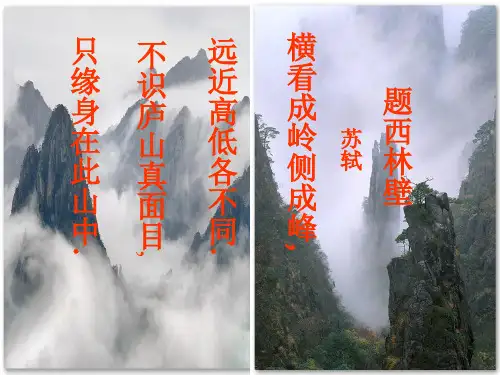 立体图形的三视图和展开图