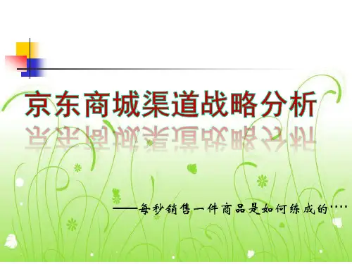 第三组京东商城分销渠道分析【精选】